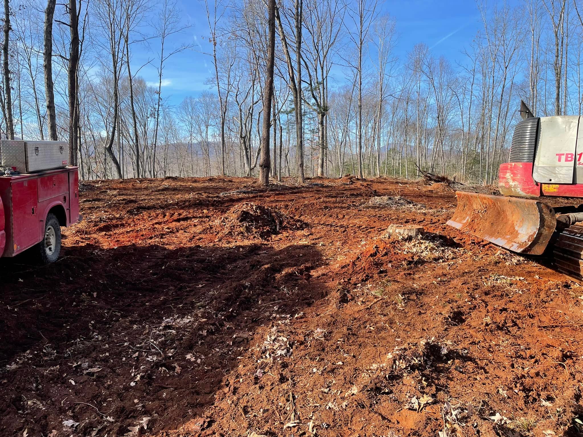 Logging and timber removal